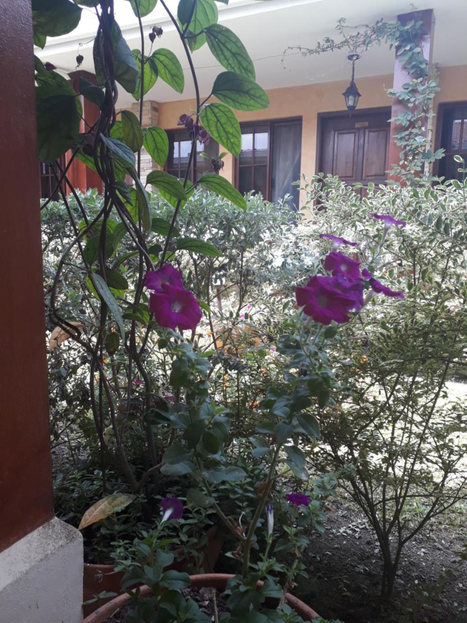Posada Gema De Copan Santa Rosa de Copán 外观 照片